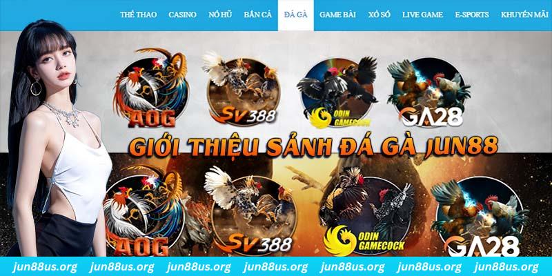 Đá Gà - Cùng Các Chiến Kê Ra Sân Nhận Thưởng Hấp Dẫn 4 Giới thiệu thông tin quan trọng cần biết về chuyên mục đá gà