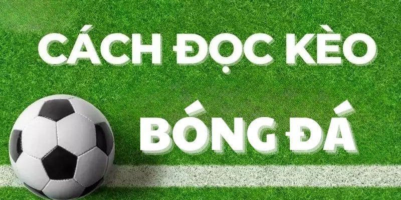 Tỷ lệ thắng cược 1/4 theo từng hiệp đấu